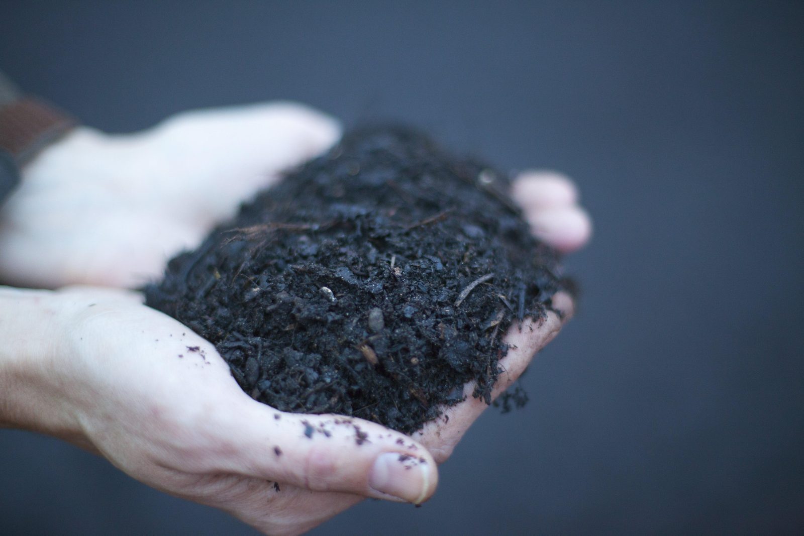 Compost in hand