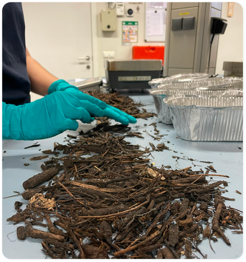 Labo Biodegration testing